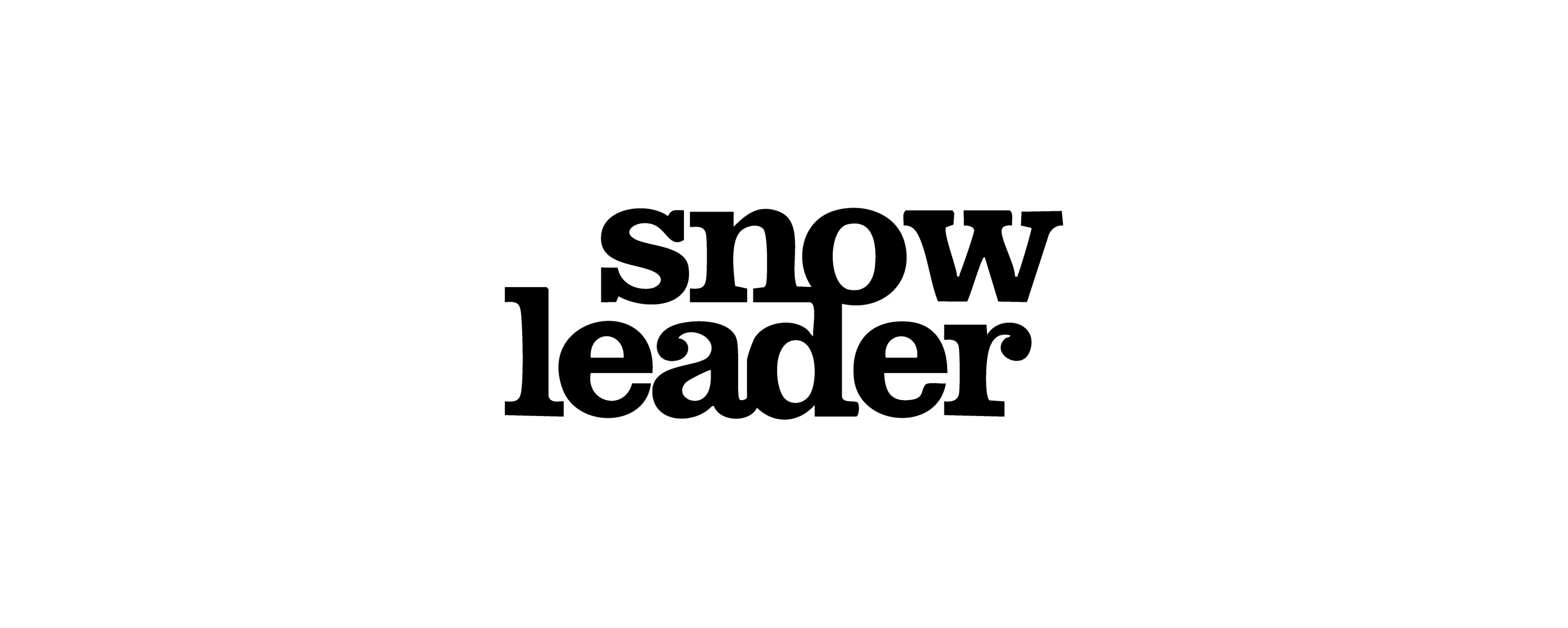 Snowleader Promo Code and Coupon Code