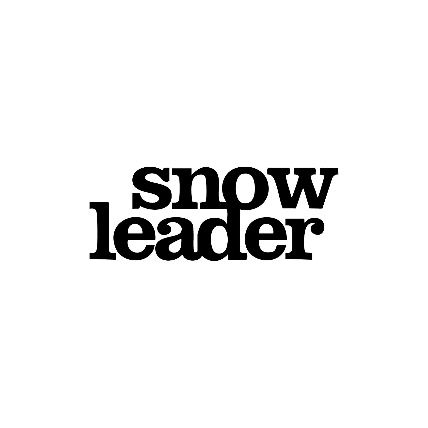Snowleader Promo Code and Coupon Code